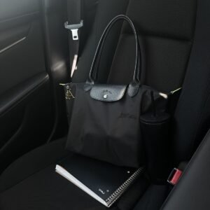 Longchamp classic Black on Black