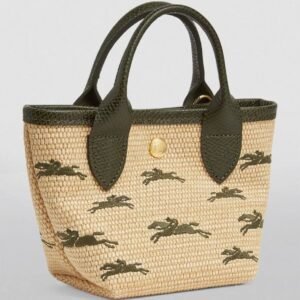 Longchamp new mini green Summery